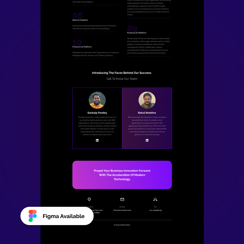 Professional Consultant Web Template